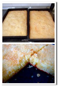 Buttermilchkuchen