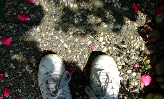 Fotos mit Geschichte – Tag 07 (Abschluss)