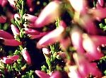 Rückblick #38