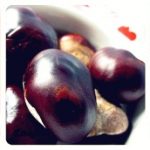 Der Herbst zieht ein im Hause Mondgras…