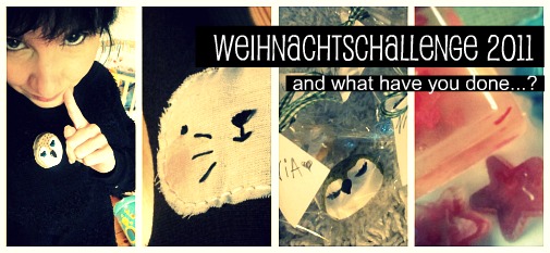 w-challenge2011-ergebnisse01