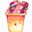  emoticon